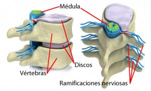 Osteopatia en Valencia